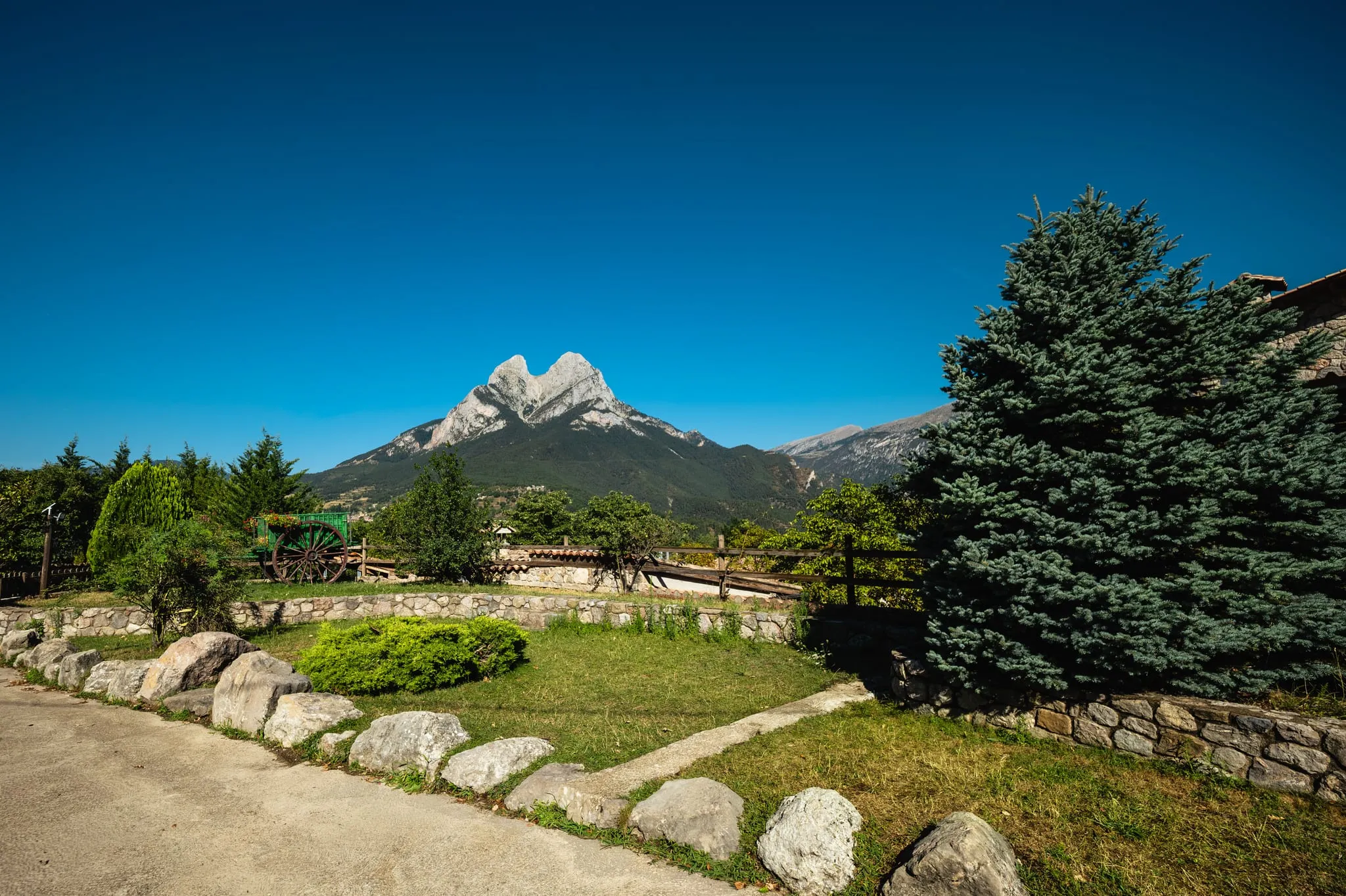El camí del jardí, vorejat de roques i avets, amb el Pedraforca al fons