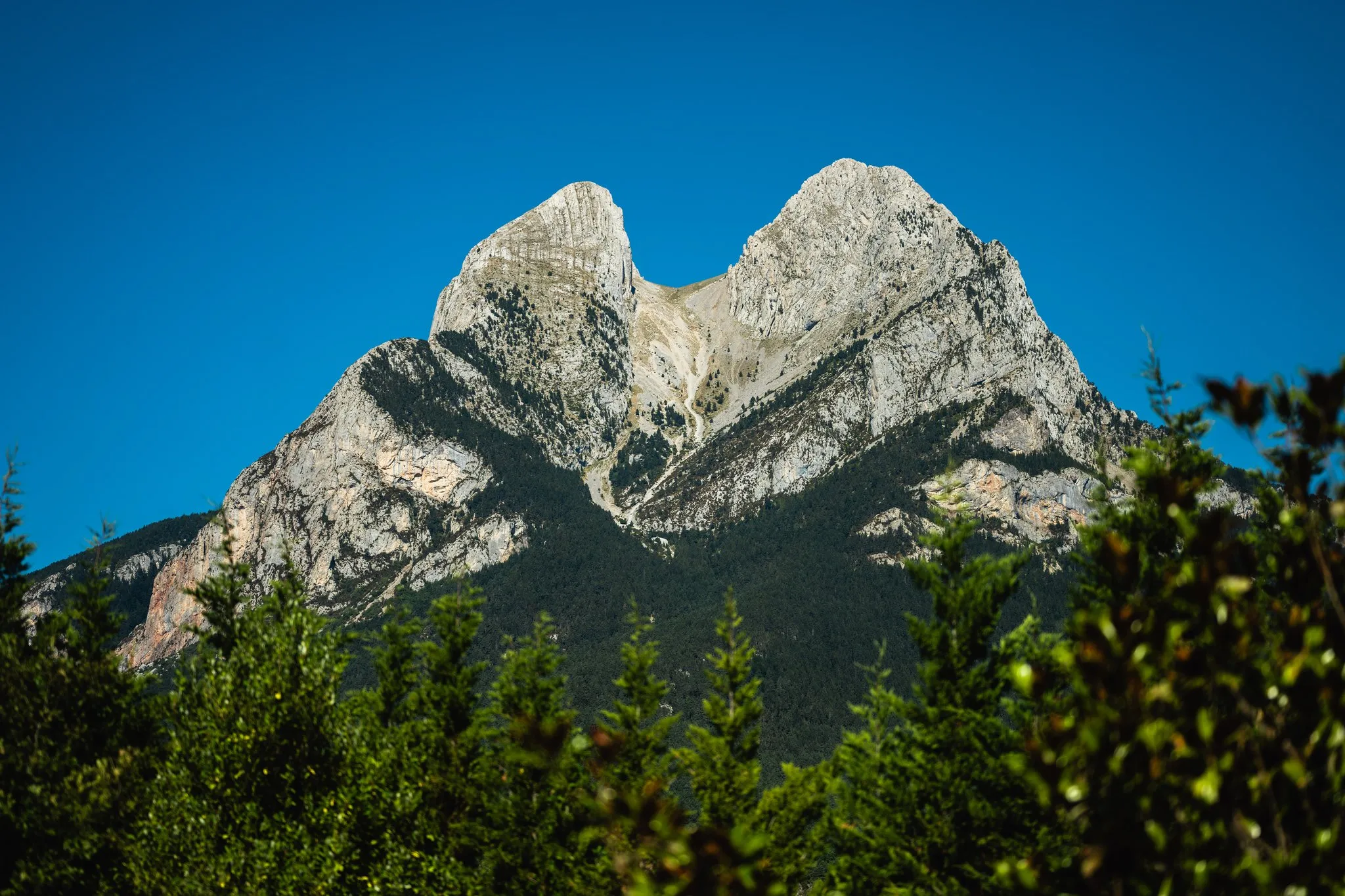 Els dos cims del Pedraforca retallats sobre el cel blau, amb el bosc en primer terme